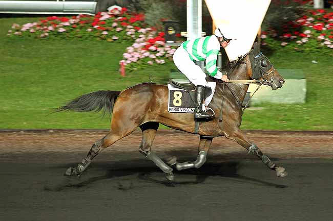 Arrivée quinté pmu PRIX ANDROMEDA à PARIS-VINCENNES