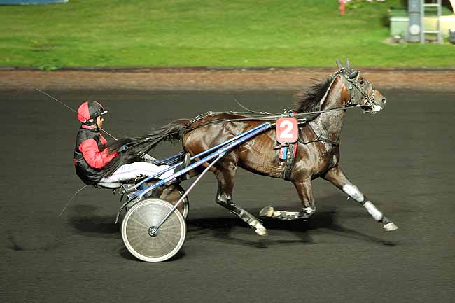 Arrivée quinté pmu PRIX CURSA à PARIS-VINCENNES