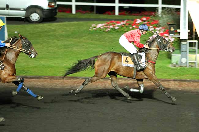 Arrivée quinté pmu PRIX DORADO à PARIS-VINCENNES