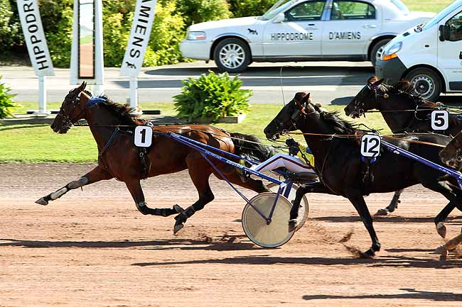 Arrivée quinté pmu PRIX HOLIDAY INN à AMIENS