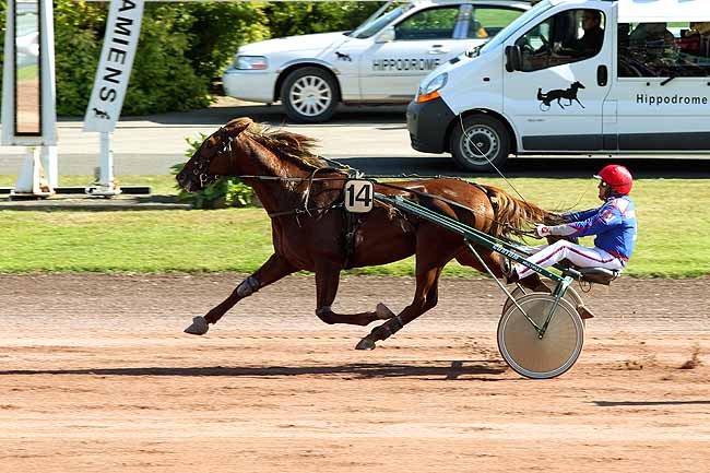 Arrivée quinté pmu PRIX DU 119E CONGRES DES POMPIERS à AMIENS