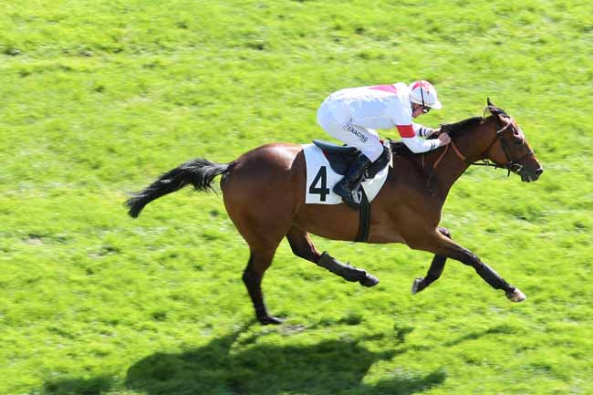 Arrivée quinté pmu PRIX PATRICK LEC à AUTEUIL