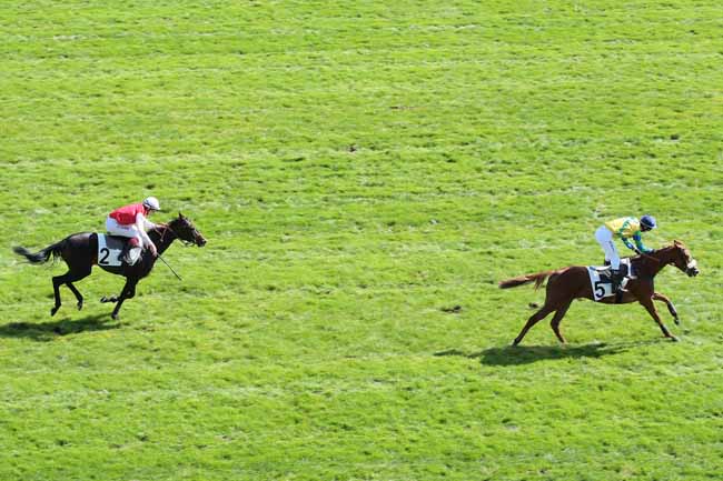 Arrivée quinté pmu PRIX DE COYE à AUTEUIL