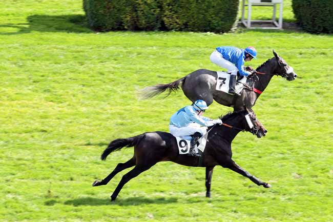 Arrivée quinté pmu PRIX SAPIN à AUTEUIL