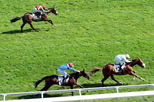 Arrivée quinté pmu PRIX CADOUDAL à AUTEUIL