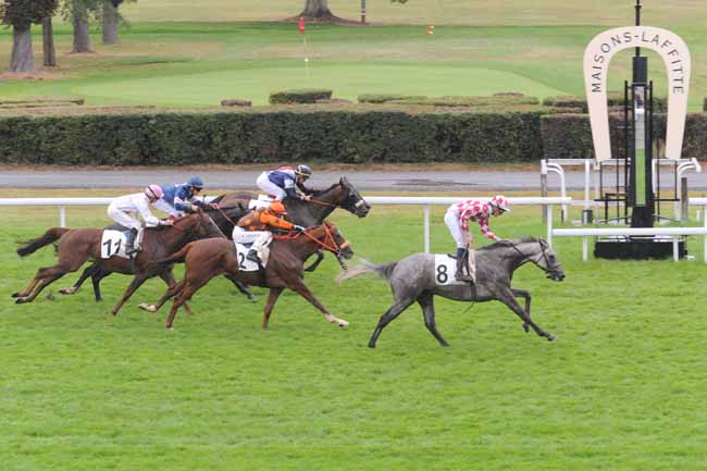Arrivée quinté pmu PRIX DE PALAISEAU à MAISONS-LAFFITTE