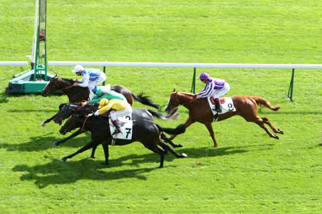 Arrivée quinté pmu PRIX DE LA MONTAGNE SAINTE-GENEVIEVE à LONGCHAMP