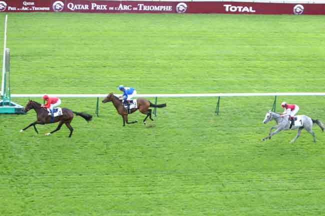 Arrivée quinté pmu PRIX DE COLOMBES à LONGCHAMP