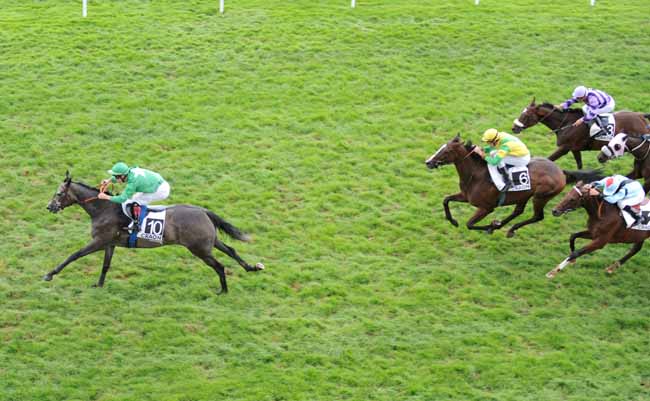 Arrivée quinté pmu PRIX VOLNEY à CRAON