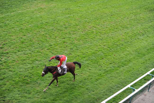 Arrivée quinté pmu PRIX DU DOCTEUR GUY JALLOT à CRAON