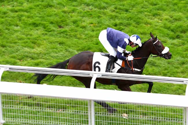 Arrivée quinté pmu PRIX ROBERT LEJEUNE à AUTEUIL