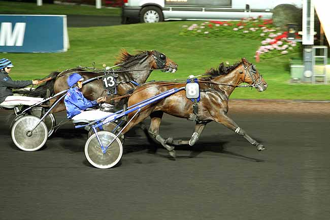 Arrivée quinté pmu PRIX HAMALE à PARIS-VINCENNES