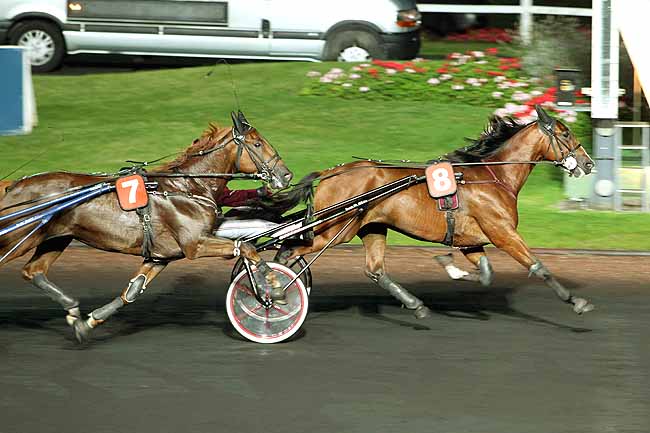 Arrivée quinté pmu PRIX ALDEBARAN à PARIS-VINCENNES
