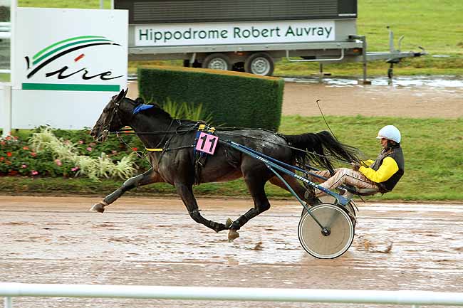 Arrivée quinté pmu PRIX LECLERC - DRIVE à VIRE
