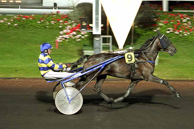 Arrivée quinté pmu PRIX ELLA à PARIS-VINCENNES