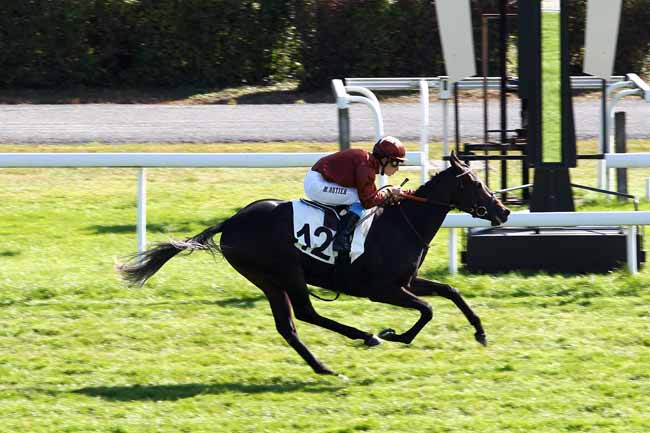 Arrivée quinté pmu PRIX DE BURES-SUR-YVETTE à MAISONS-LAFFITTE
