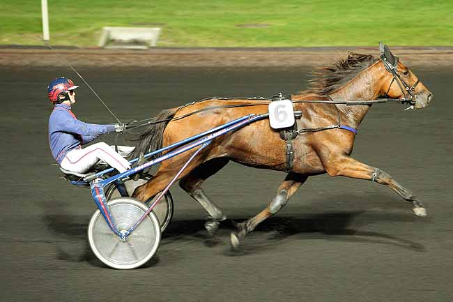 Arrivée quinté pmu PRIX DIONE à PARIS-VINCENNES