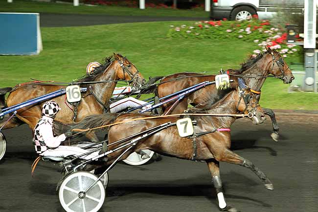 Arrivée quinté pmu PRIX MAJA à PARIS-VINCENNES