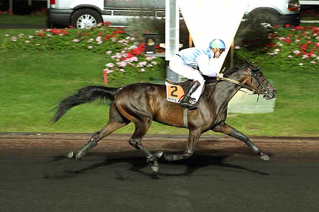 Arrivée quinté pmu PRIX LILIUS à PARIS-VINCENNES