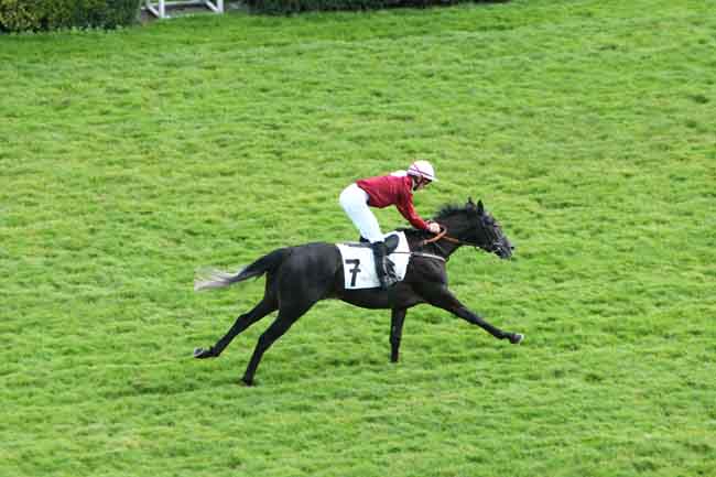 Arrivée quinté pmu PRIX MAGICIENNE à AUTEUIL
