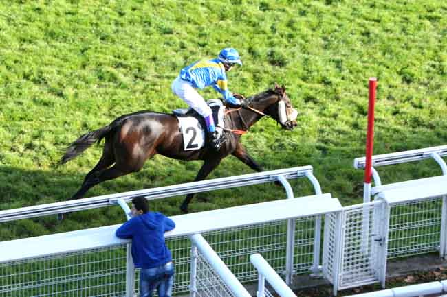 Arrivée quinté pmu PRIX VIVIENNE à AUTEUIL