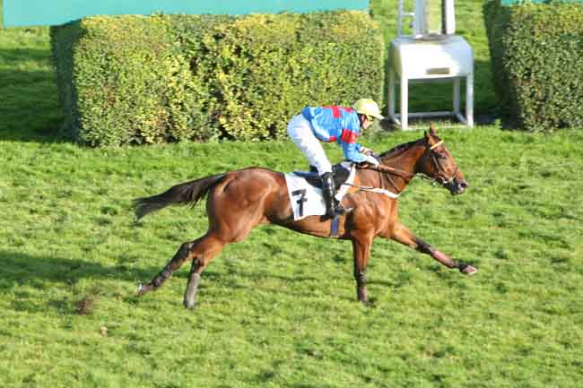 Arrivée quinté pmu PRIX DE BAGATELLE à AUTEUIL