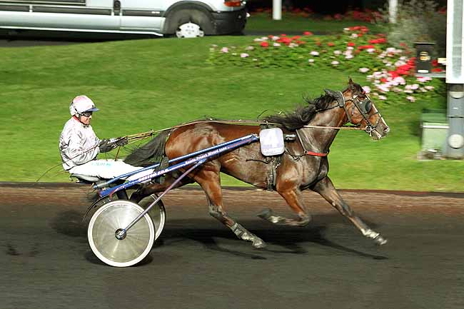 Arrivée quinté pmu PRIX CHARLEY MILLS à PARIS-VINCENNES