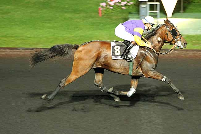 Arrivée quinté pmu PRIX HONORIA à PARIS-VINCENNES