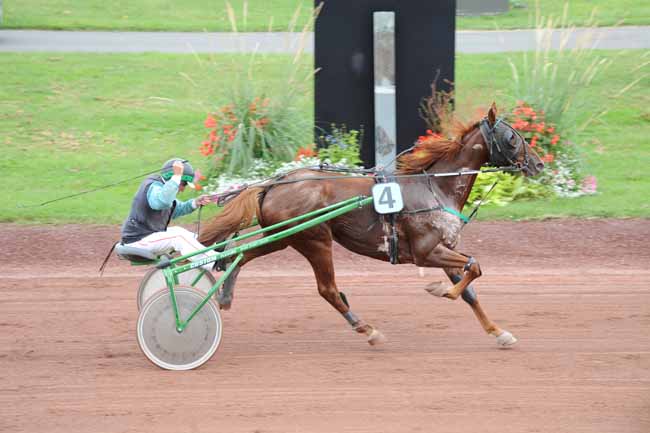 Arrivée quinté pmu PRIX SELPRO (GR A) à FEURS
