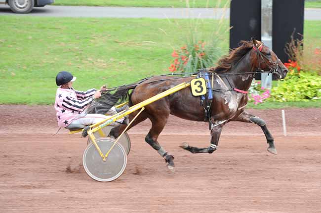 Arrivée quinté pmu PRIX SELPRO (GR B) à FEURS