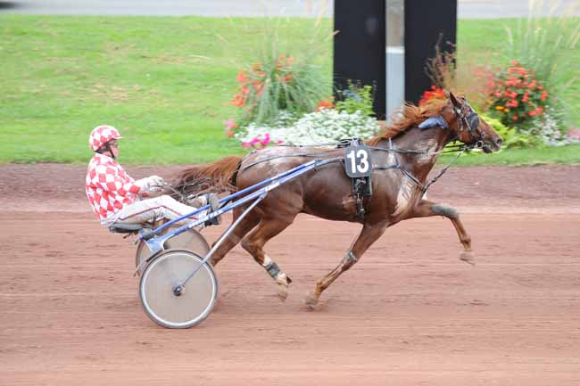 Arrivée quinté pmu PRIX NIGAY SA à FEURS