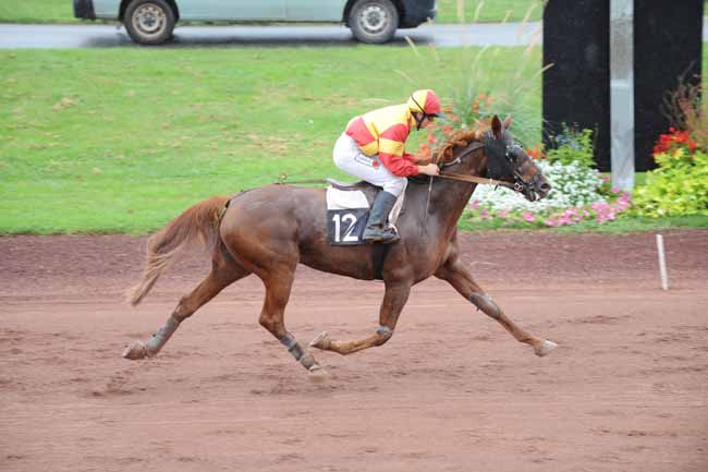Arrivée quinté pmu PRIX DU CREDIT MUTUEL à FEURS