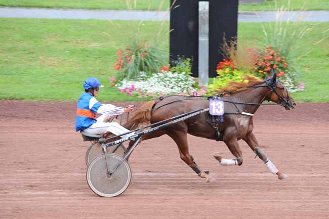 Arrivée quinté pmu PRIX ROCLE - GR. DELORME - VW VEHICULES à FEURS