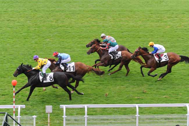 Arrivée quinté pmu PRIX DU REY à MAISONS-LAFFITTE