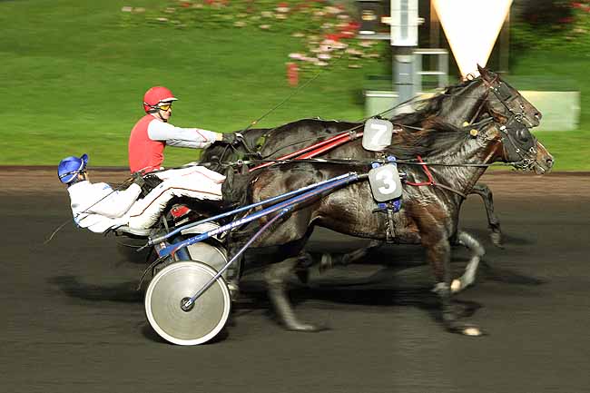 Arrivée quinté pmu PRIX FREIA à PARIS-VINCENNES