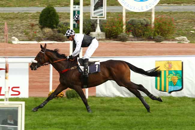 Arrivée quinté pmu PRIX ARTHUR JOHNSTON à BORDEAUX-LE BOUSCAT