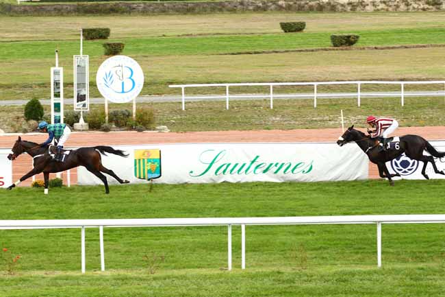 Arrivée quinté pmu GRANDE COURSE DE HAIES DES 4 ANS - PRIX DE SAUTERNES à BORDEAUX-LE BOUSCAT