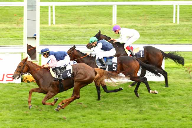 Arrivée quinté pmu PRIX JACQUES MEILHAN BORDES à BORDEAUX-LE BOUSCAT
