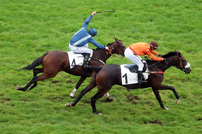 Arrivée quinté pmu PRIX MAGNE à AUTEUIL