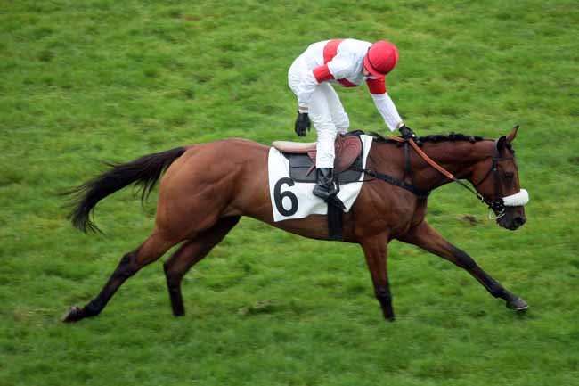 Arrivée quinté pmu PRIX ADRIEN BESNOUIN à AUTEUIL