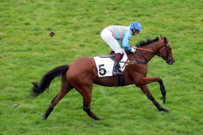 Arrivée quinté pmu PRIX UCELLO II à AUTEUIL