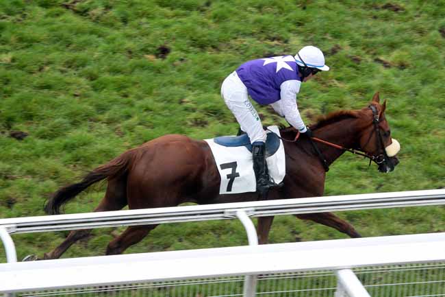 Arrivée quinté pmu PRIX HIPPARQUE à AUTEUIL
