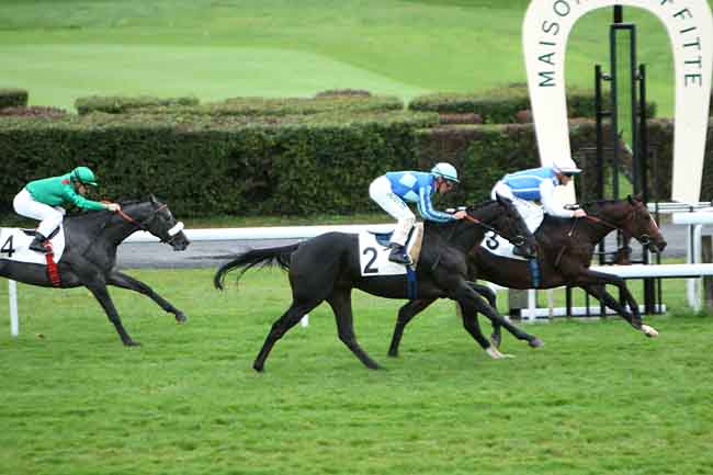 Arrivée quinté pmu PRIX COARAZE à MAISONS-LAFFITTE