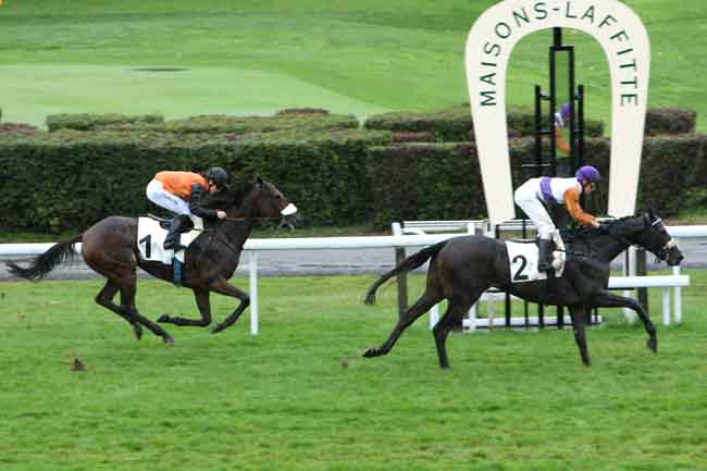 Arrivée quinté pmu PRIX CAPPIELLO à MAISONS-LAFFITTE