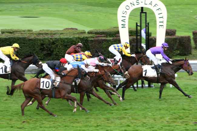 Arrivée quinté pmu PRIX DE BUZENVAL à MAISONS-LAFFITTE
