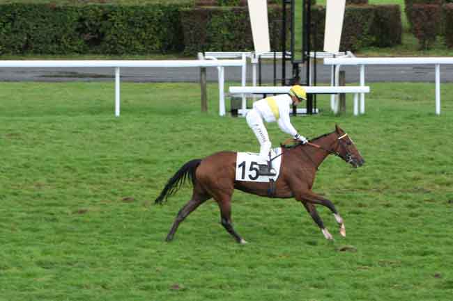 Arrivée quinté pmu PRIX DE CARRIERES-SOUS-POISSY à MAISONS-LAFFITTE