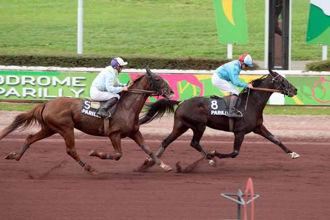 Arrivée quinté pmu PRIX DU MORVAN à LYON-PARILLY