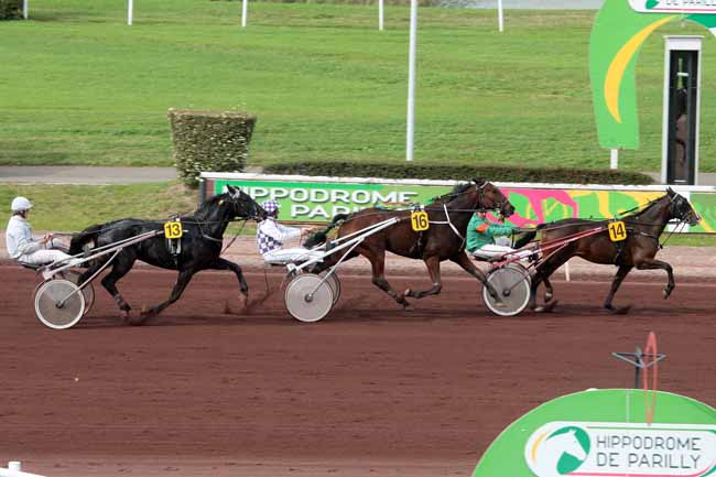Arrivée quinté pmu PRIX DUFAUD COURTAGE D'ASSURANCES - PRIX DE LA DURANCE à LYON-PARILLY