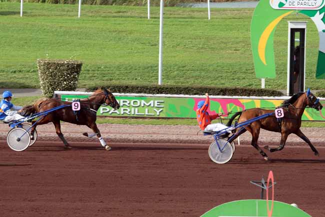Arrivée quinté pmu PRIX EQUITA' LYON - PRIX DE BELLE-ILE à LYON-PARILLY