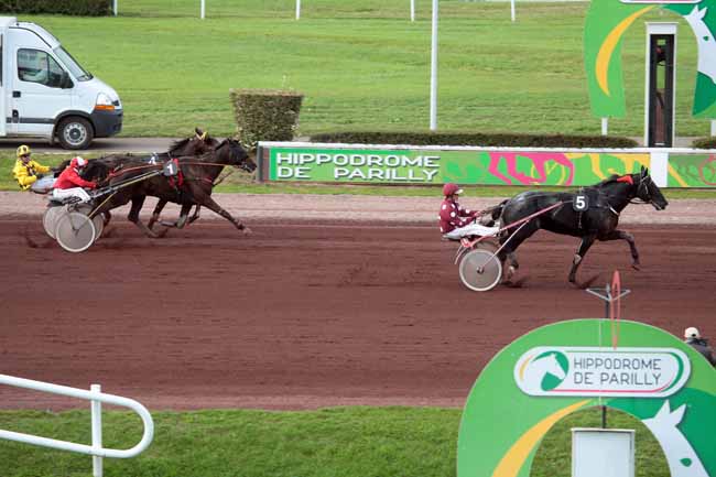 Arrivée quinté pmu PRIX LE CARROUSEL - PRIX DU PAYS NICOIS à LYON-PARILLY